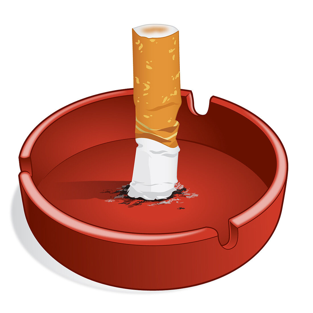 Cigarette Smoking: Health Hazard
