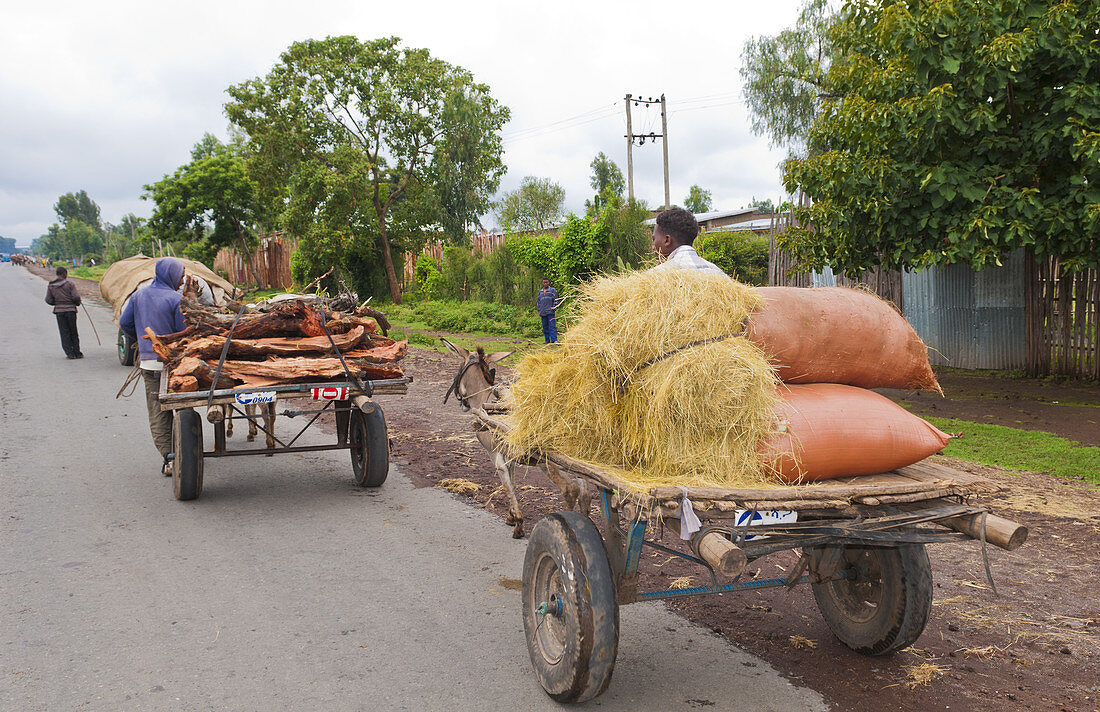 Bringing Crops to Town,Ethiopia