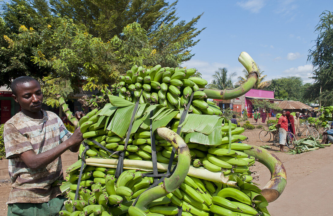 Bananas for Sale,Tanzania