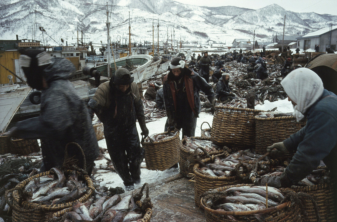 Fishermen,Hokkaido,Japan,c. 1960s