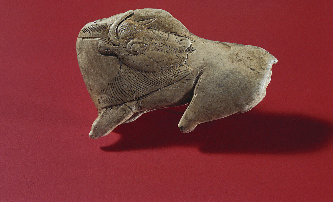 Ice Age Bison Carving