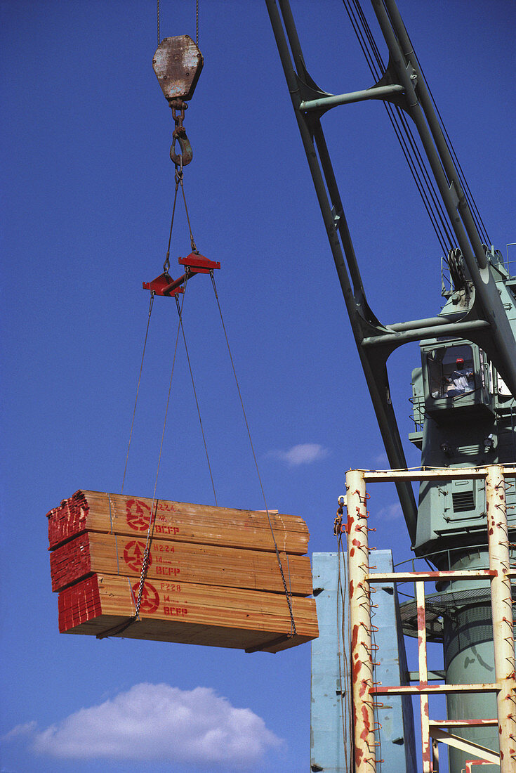 Cargo of lumber being unloaded