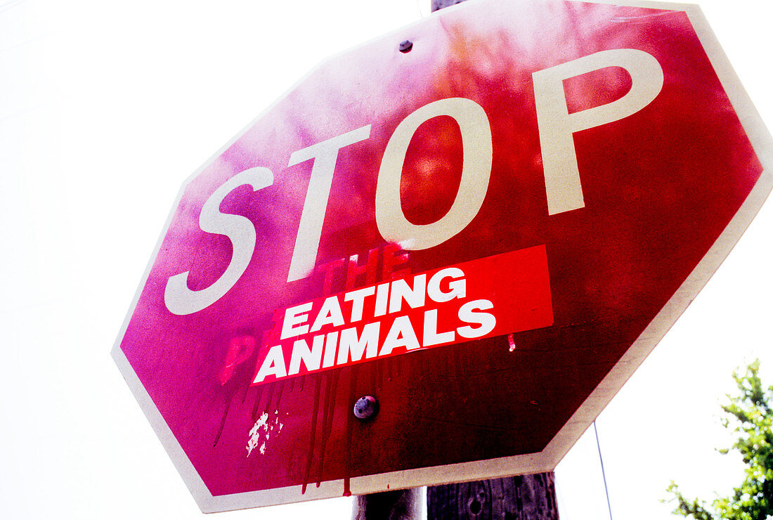 Stop (Eating Animals)