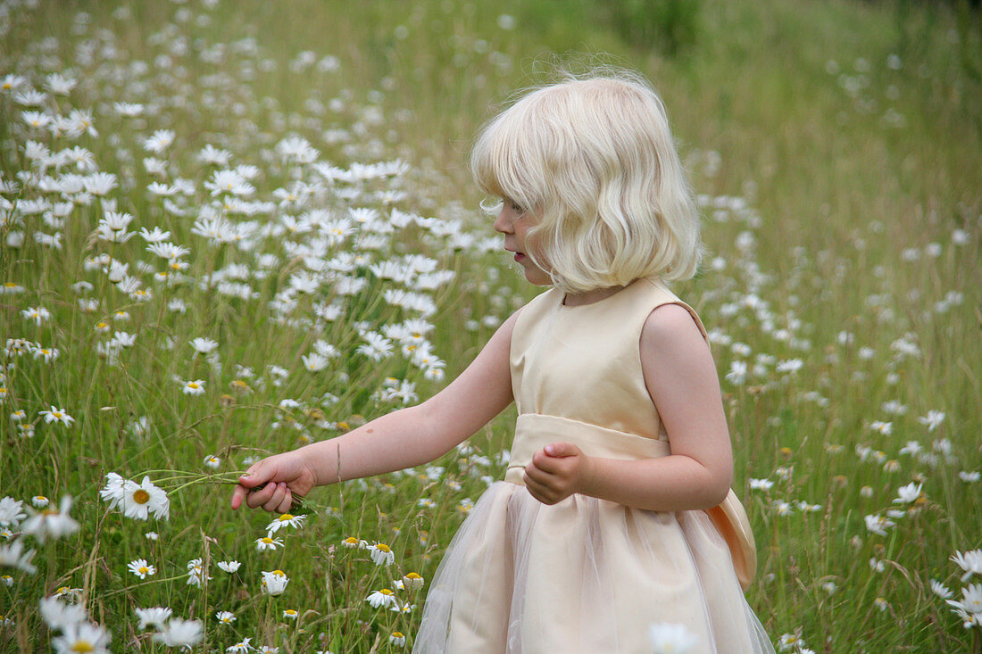 Girl in Field of Daisies