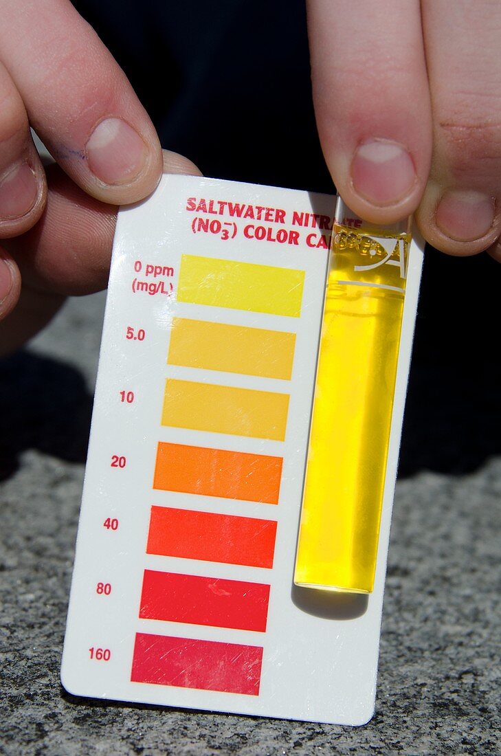Water Sample with Nitrate Colour Chart