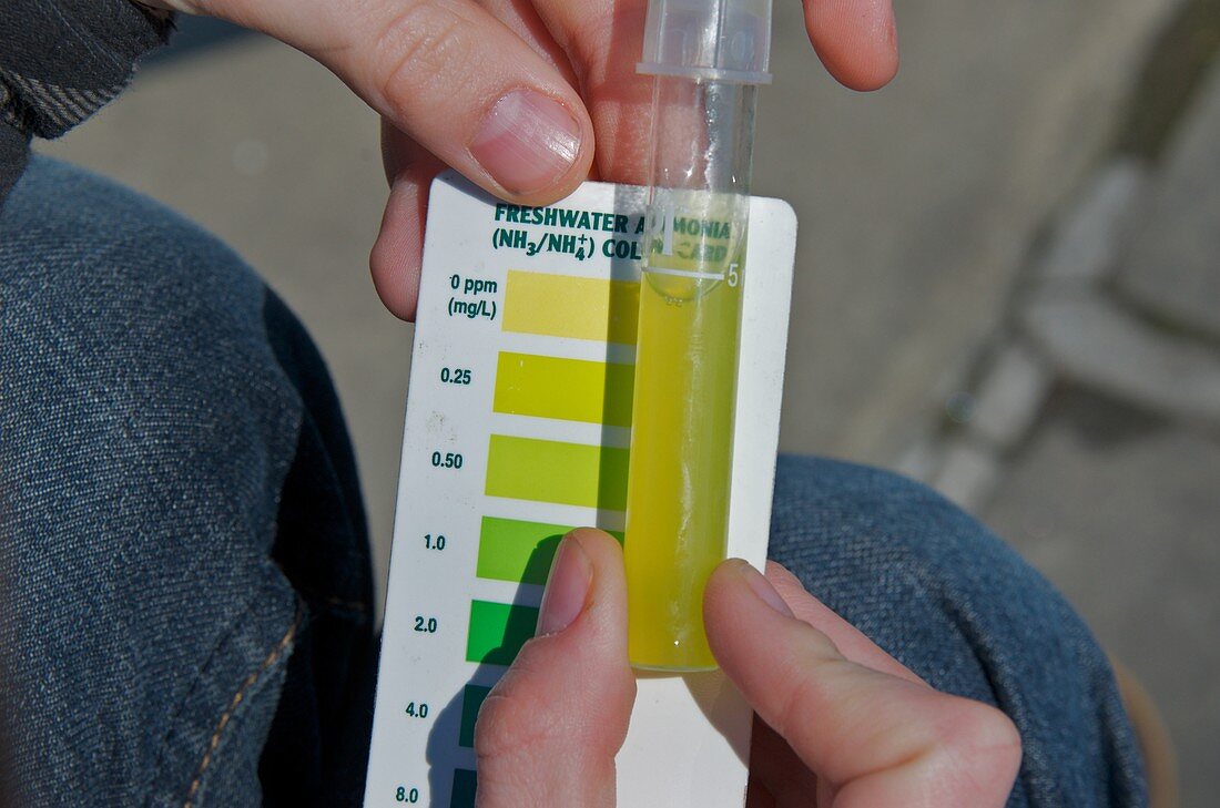 Water Sample with Ammonia Colour Chart