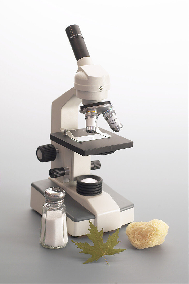 Student Adjustable Microscope