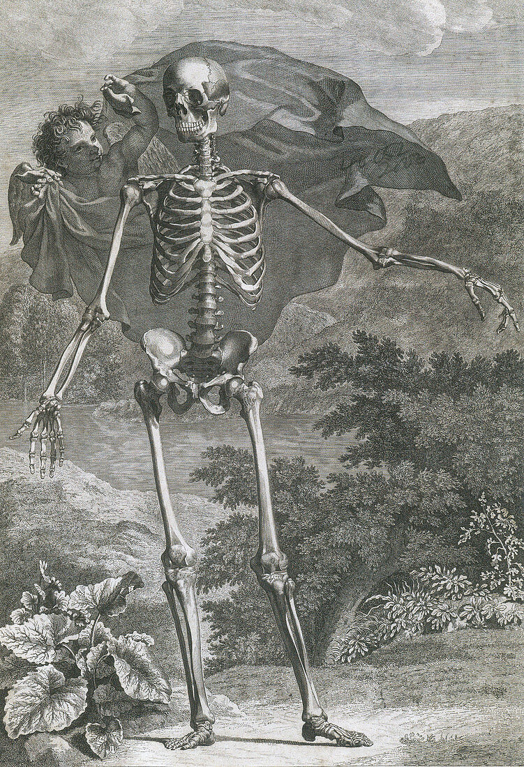 Danse Macabre,1749