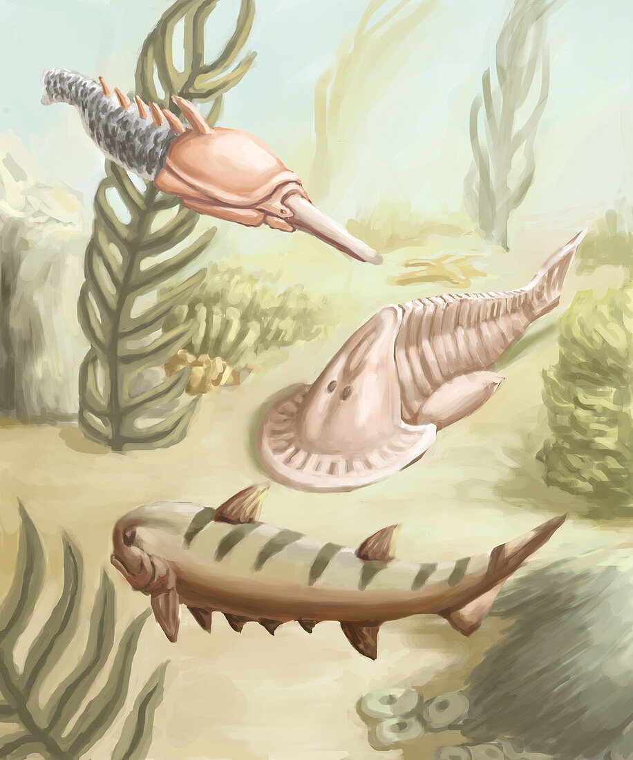 Ostracoderms and Placoderms,Illustration