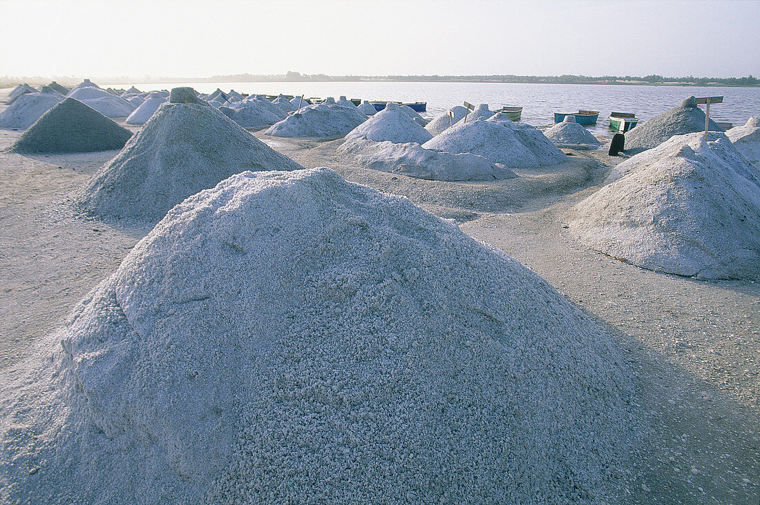 Salt Drying Alongside the Bank,Senegal