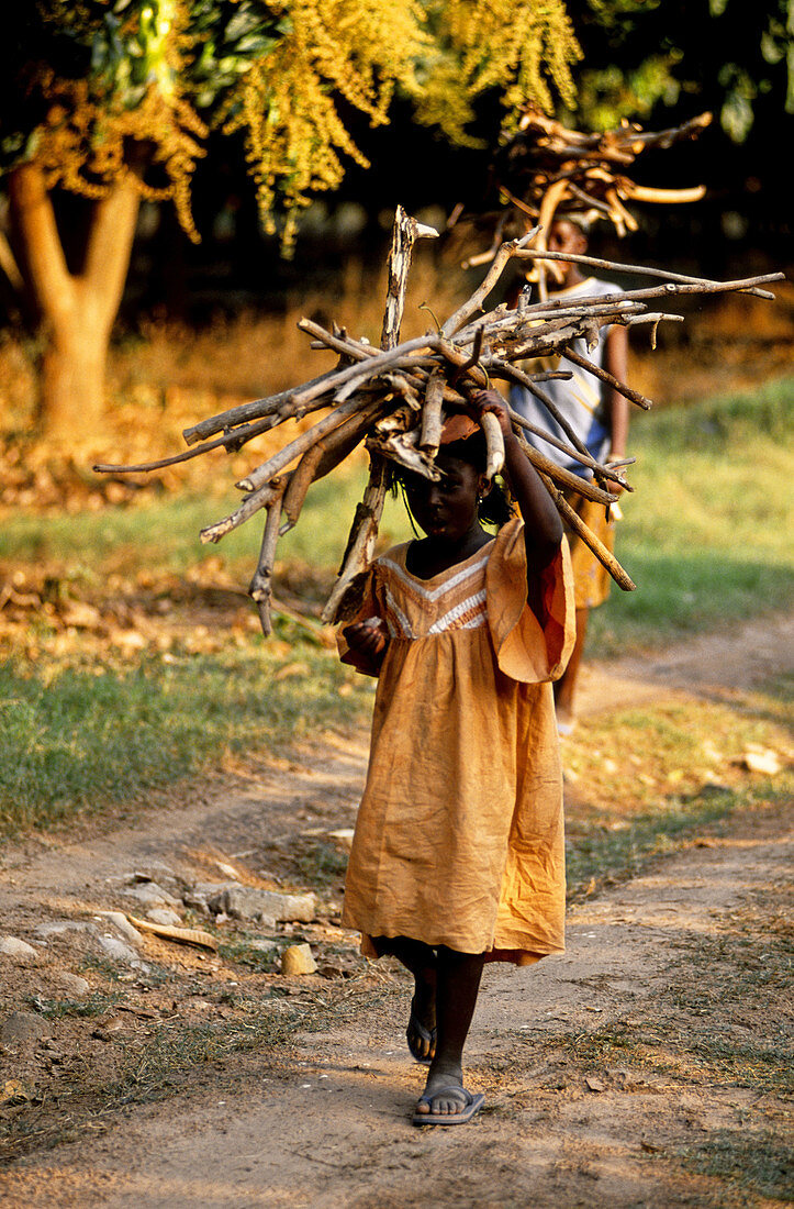 Little Girl Carrying Dry Wood,Senegal