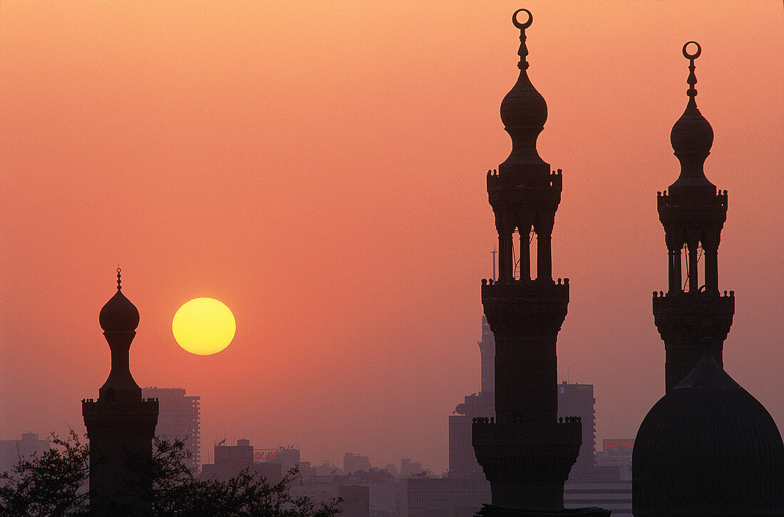 The Hassan Mosque,Egypt