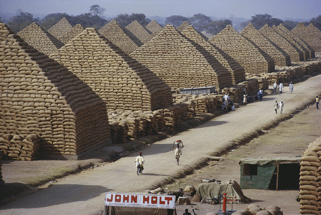 Groundnut Pyramids in Kano,Nigeria