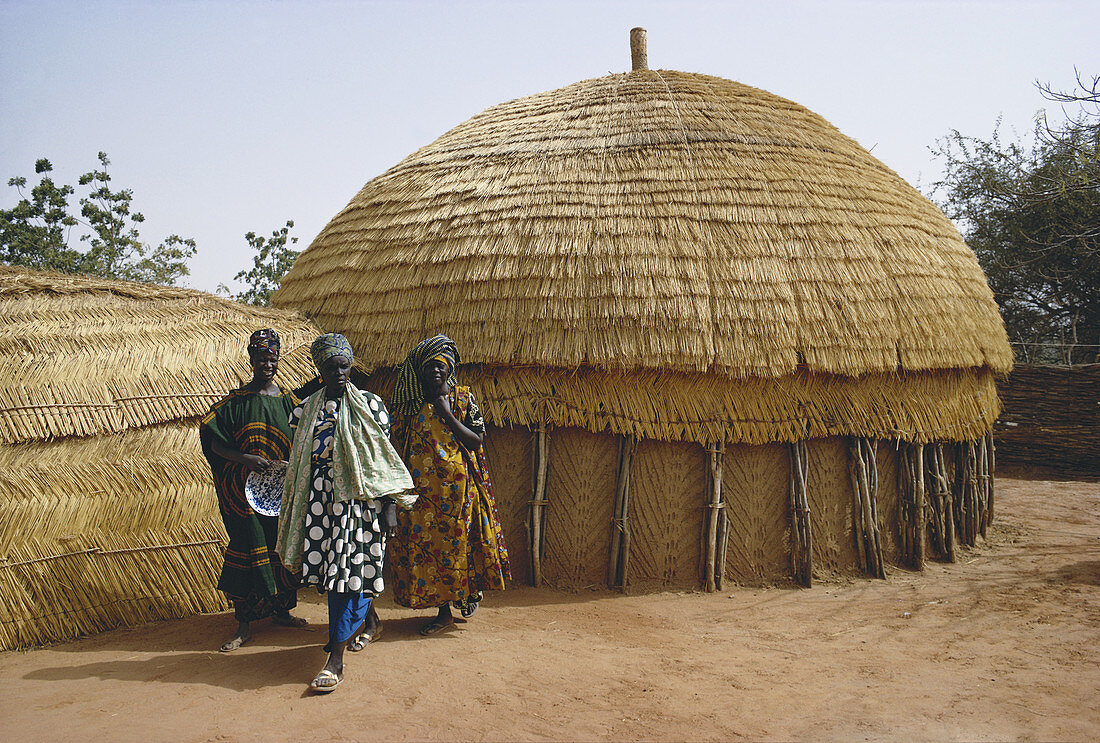 Niger Typical Native House