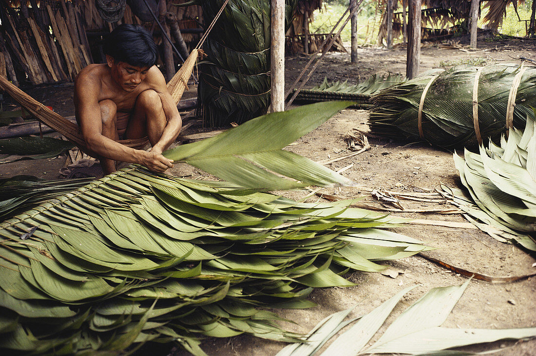 Yanomami Indian Weaving Leaves,Brazil