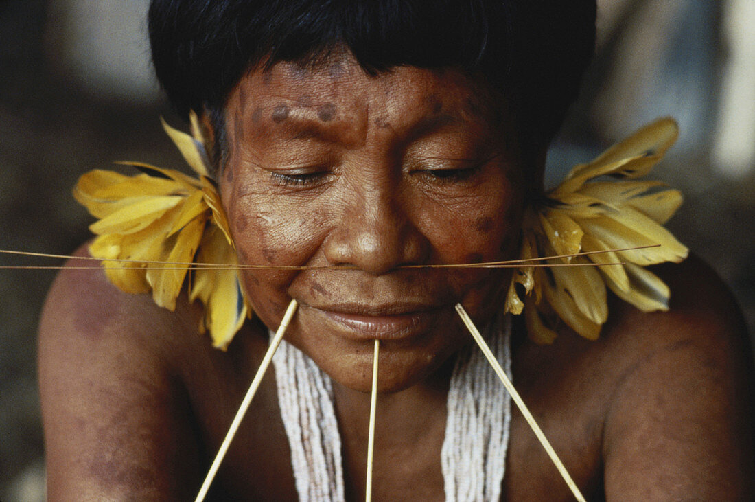 Yanomami Indian Woman,Brazil – Bild Kaufen – 12040061 Science Photo Library