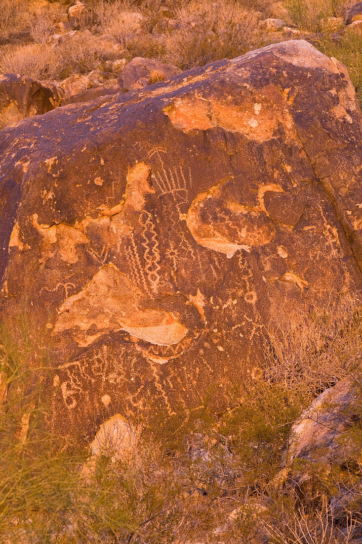 Petroglyphs by the Hohokam Indians
