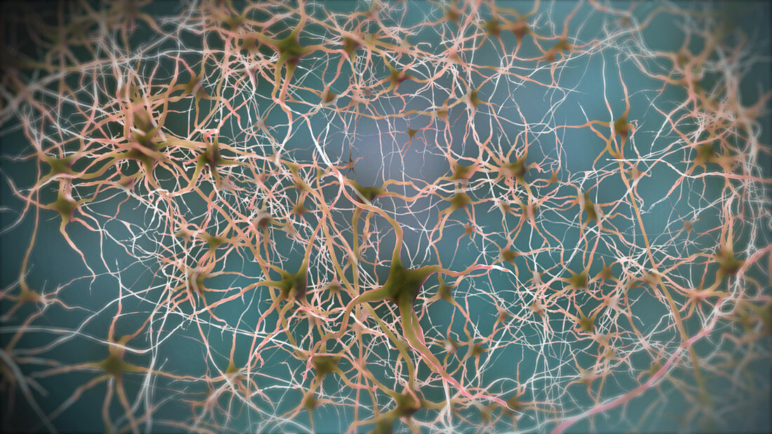 Neurons,Illustration