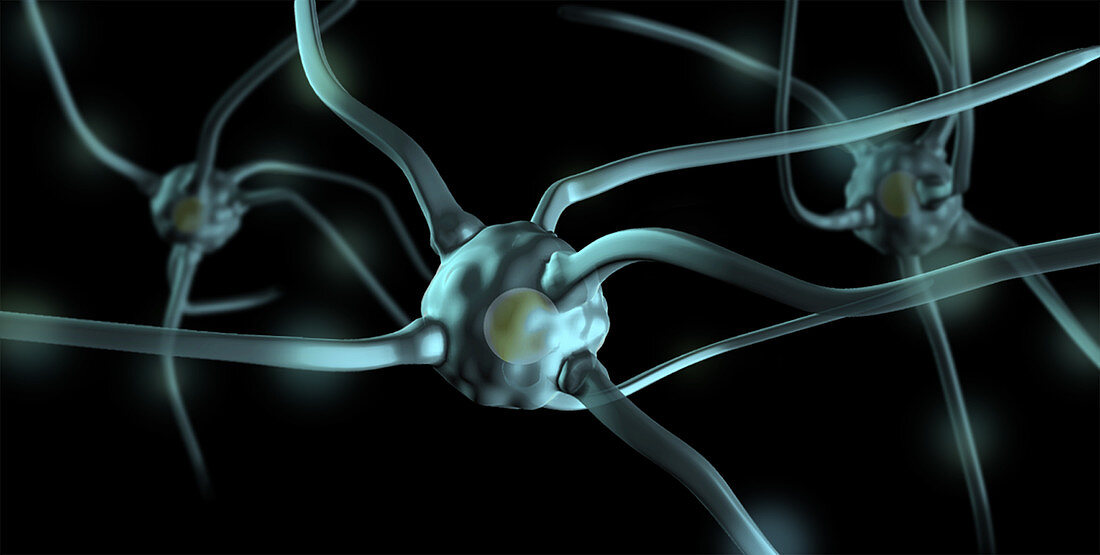 Human Nerve Cells,Computer Illustration