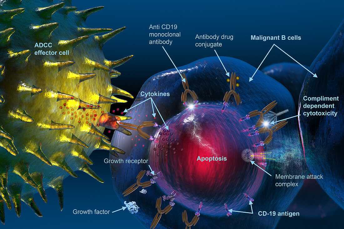 Cancer Cell Death,Illustration