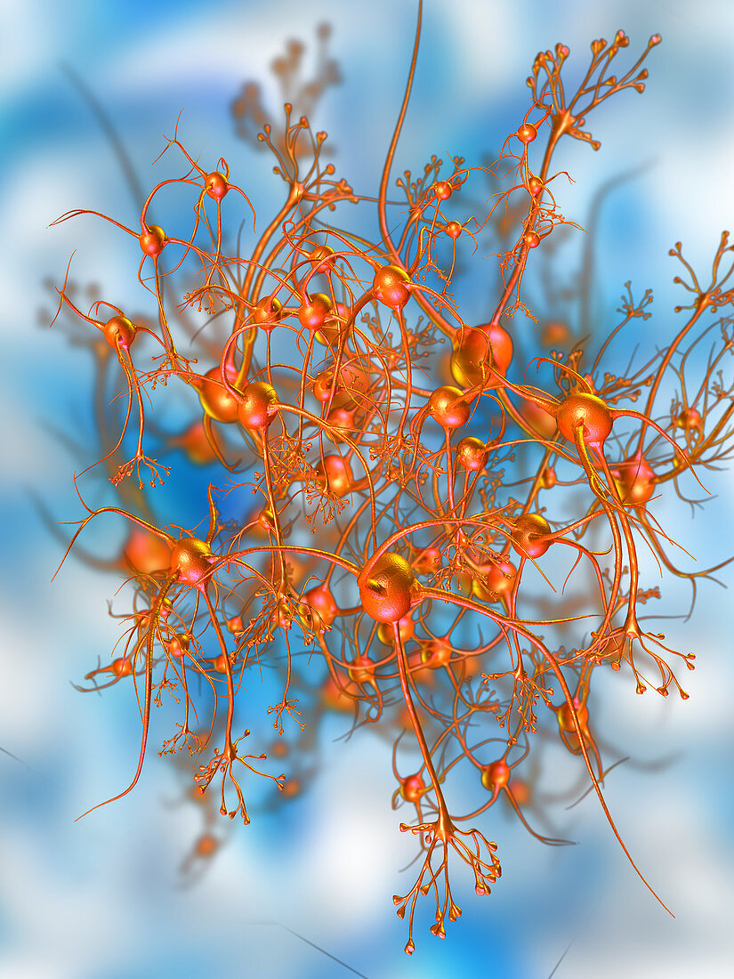 Network of Neurons,Illustration