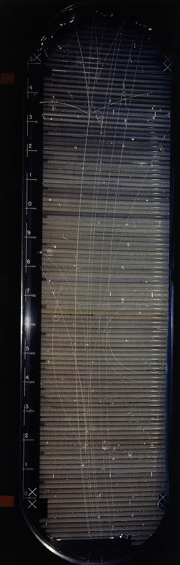 Bubble Chamber Particle Tracks,c.1960s