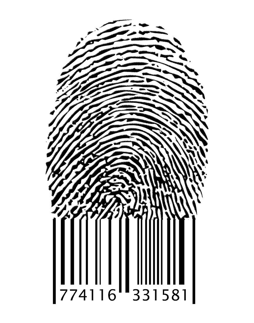 Barcode under Fingerprint,illustration