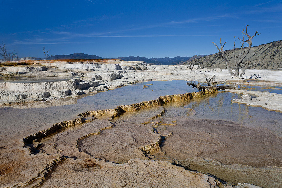 Mineral Terraces,Mammoth Hot Springs