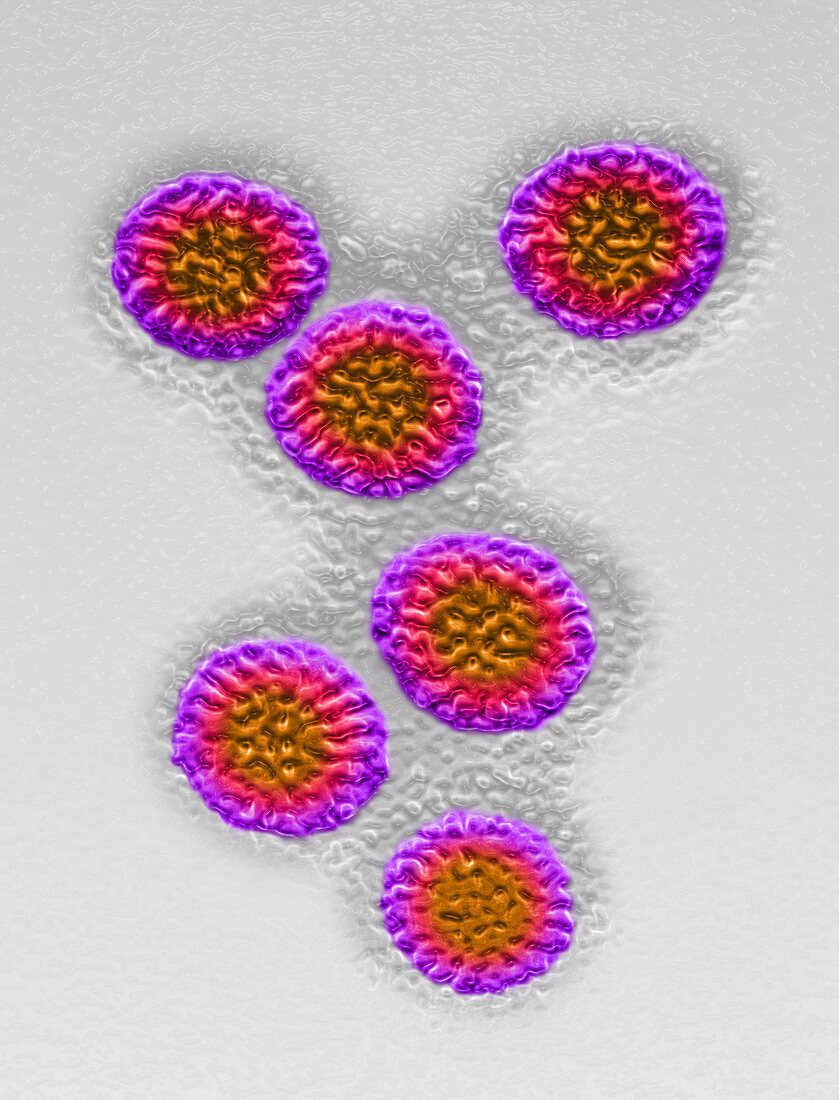 Rotavirus