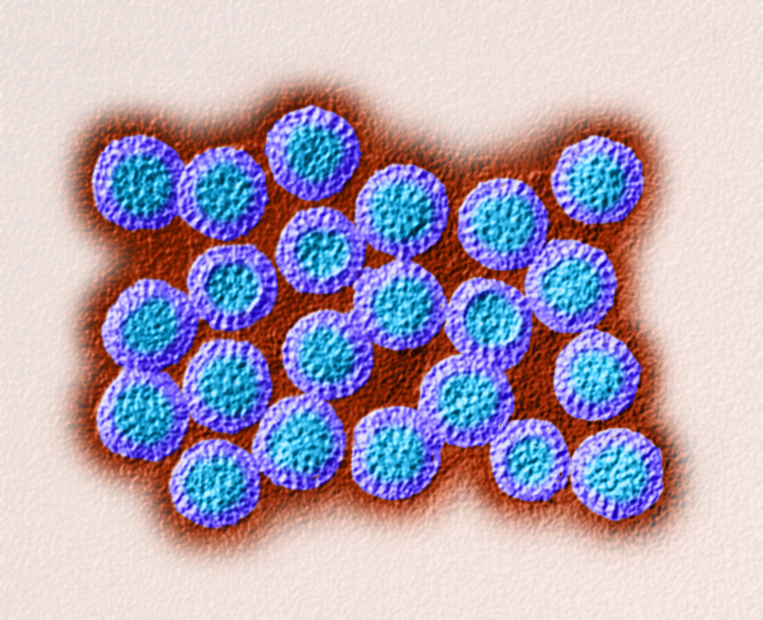 Rotavirus