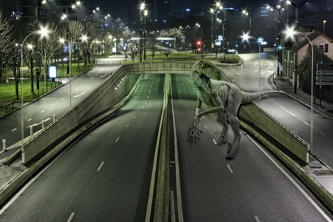 Dinosaur in the Street,illustration