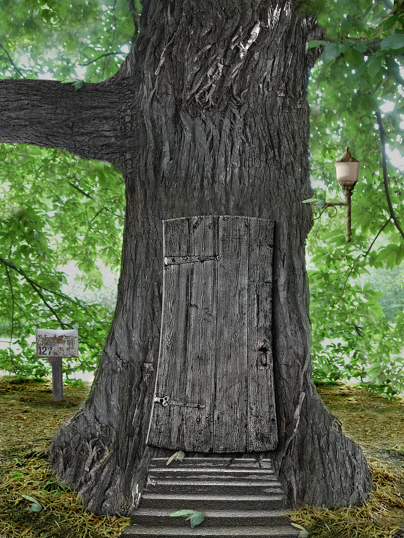 Treehouse Door,illustration