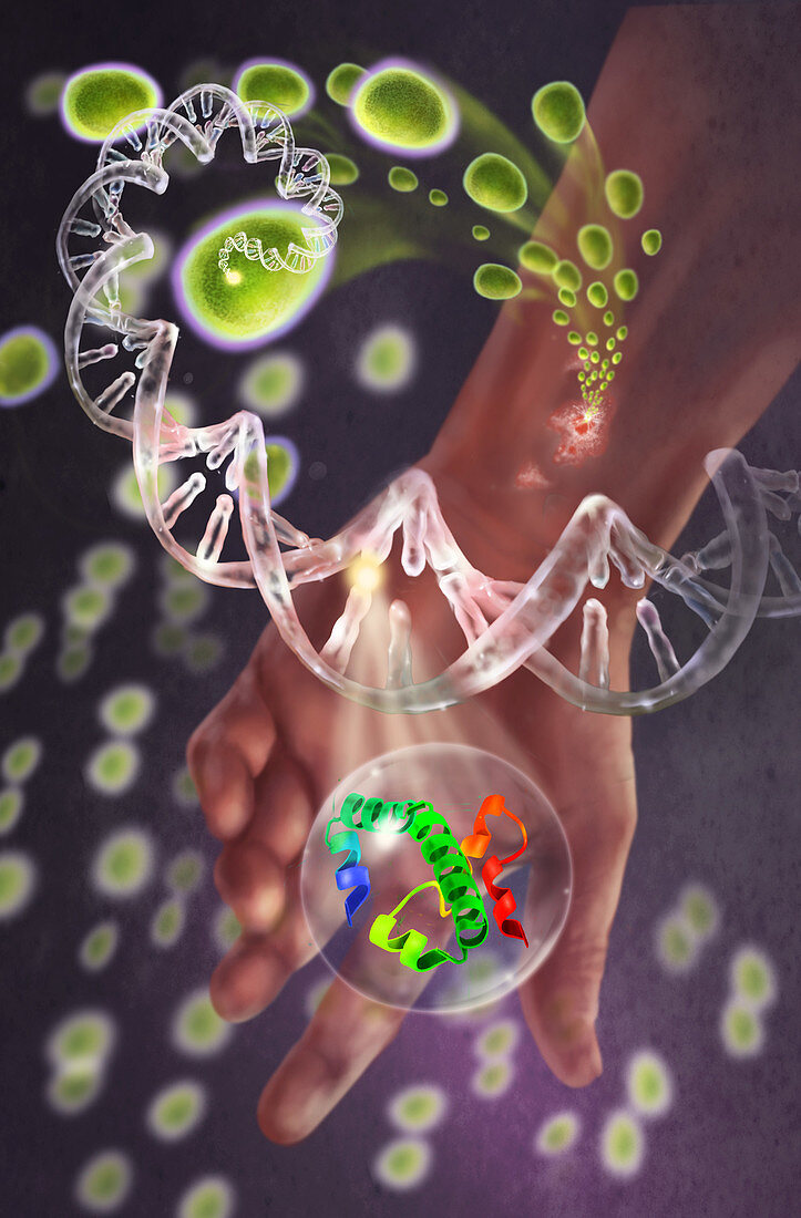 Protein causing MRSA,illustration