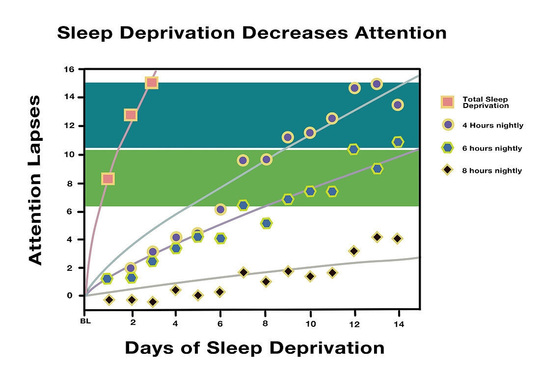Sleep Deprivation,illustration