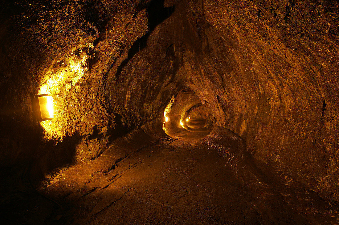 Thurston Lava Tube,Hawaii