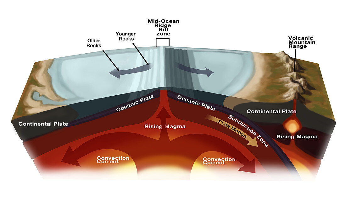 Plate Tectonics,illustration