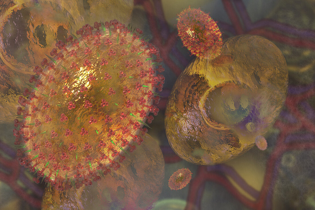 Influenza A (H3N2) virus,illustration