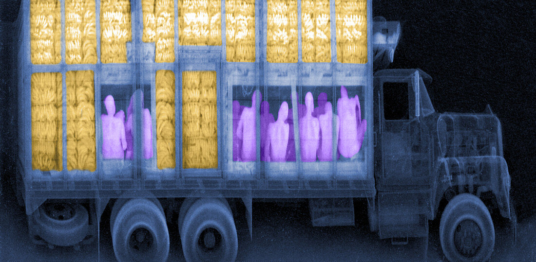 Xray of Truck with Illegal Immigrants