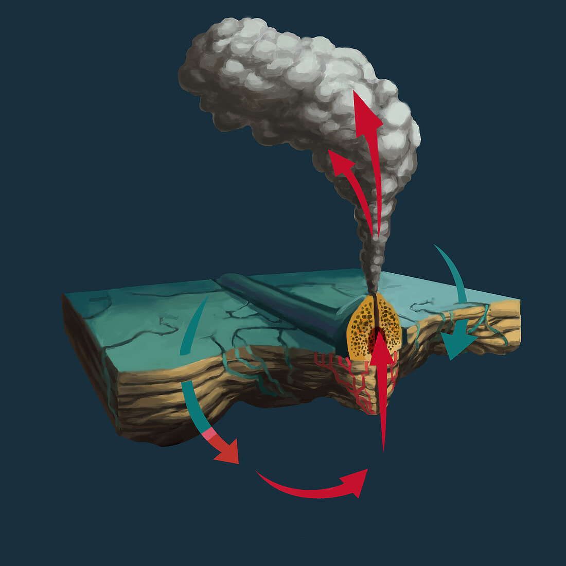 Hydrothermal Vent,illustration