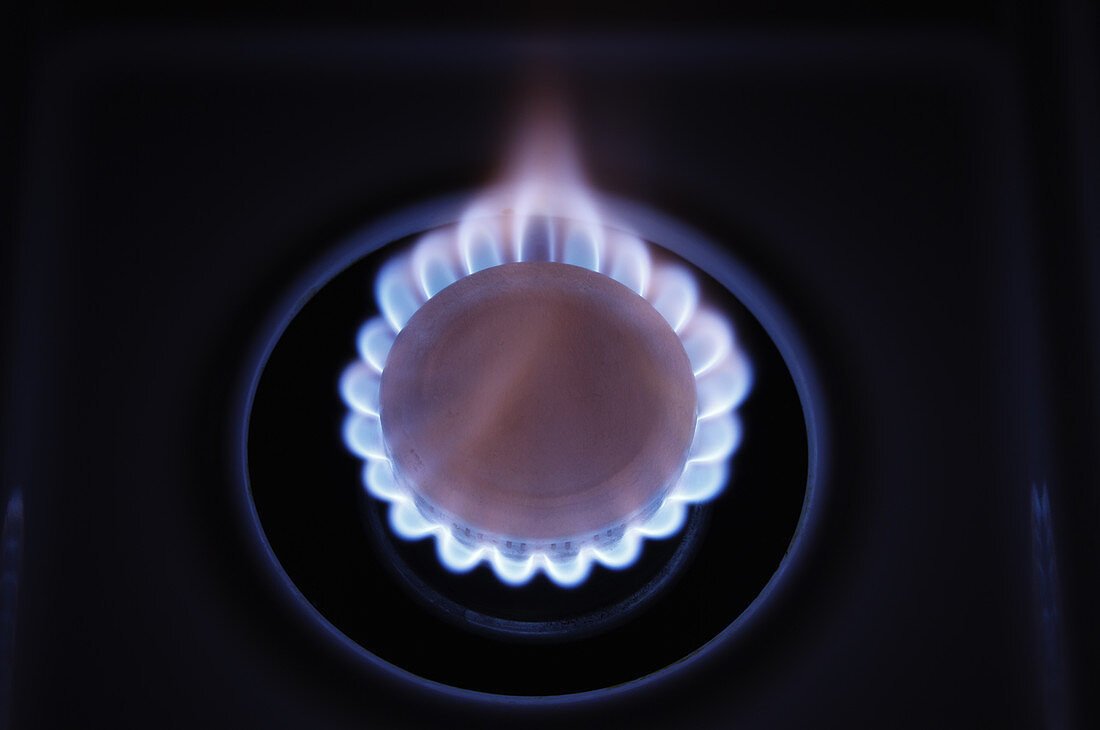 Natural Gas Burner