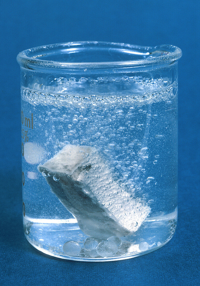 Calcium Reacting with Water
