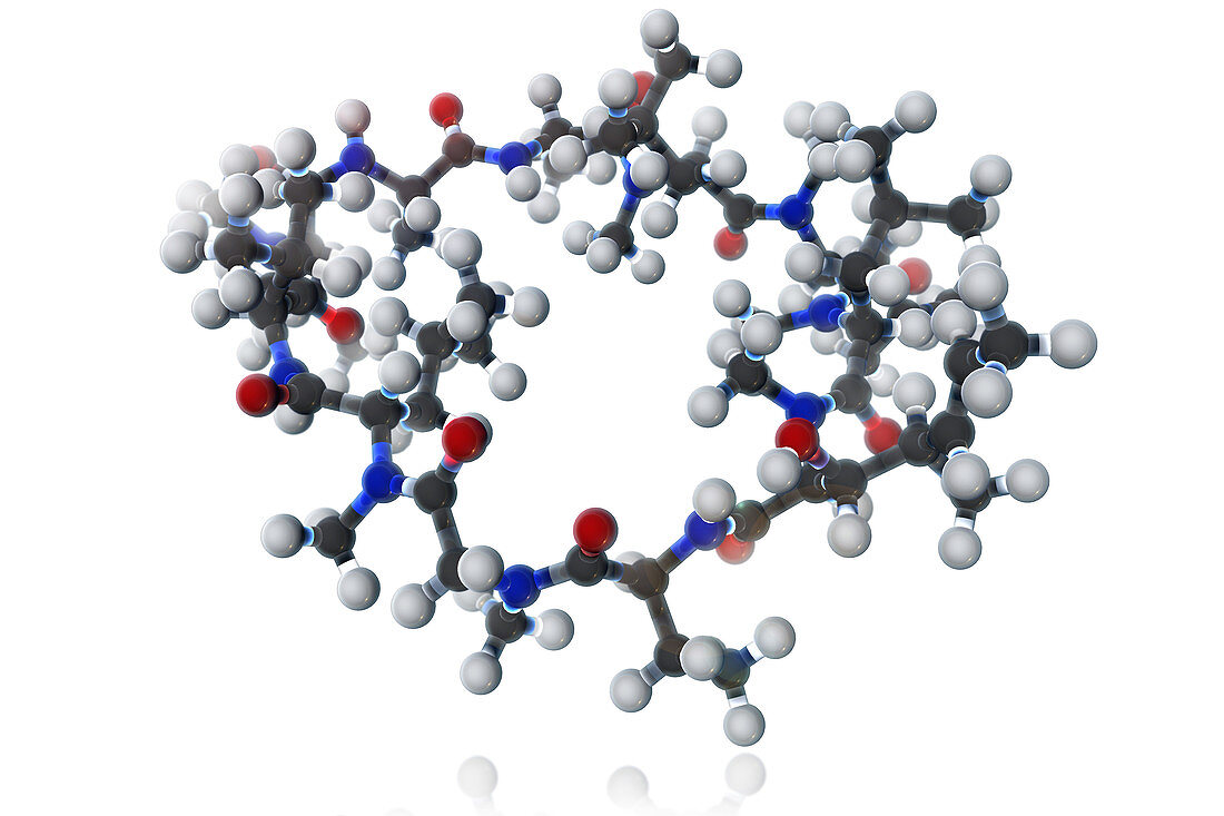 Cyclosporine Molecule,illustration