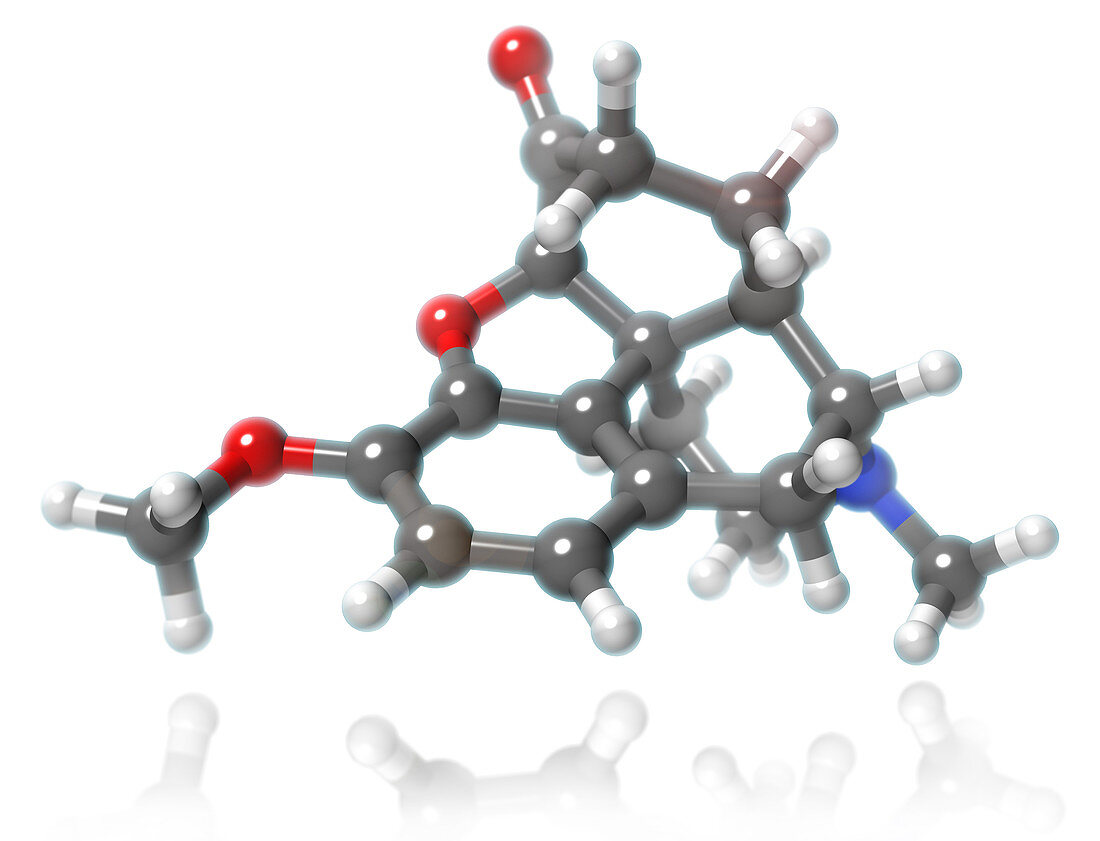 Hydrocodone Molecular Model,illustration