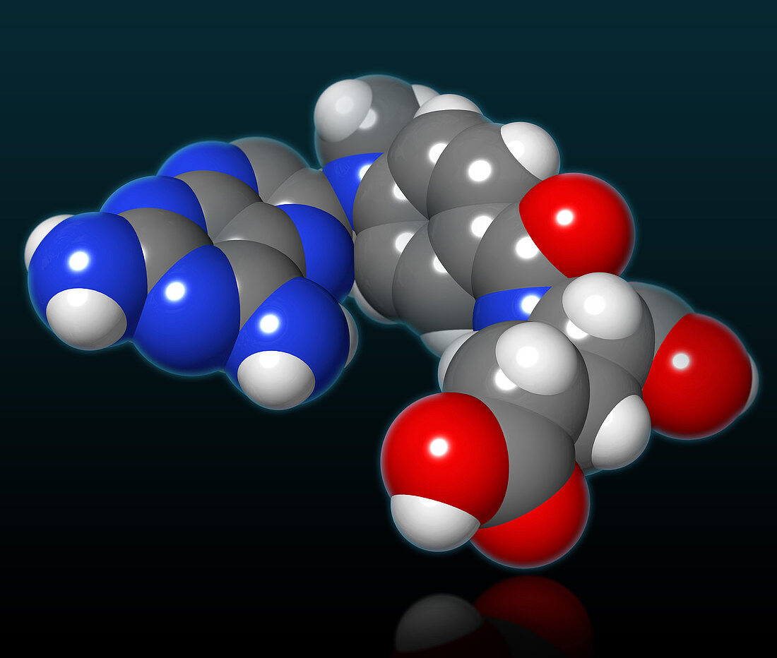 Methotrexate Molecule,illustration