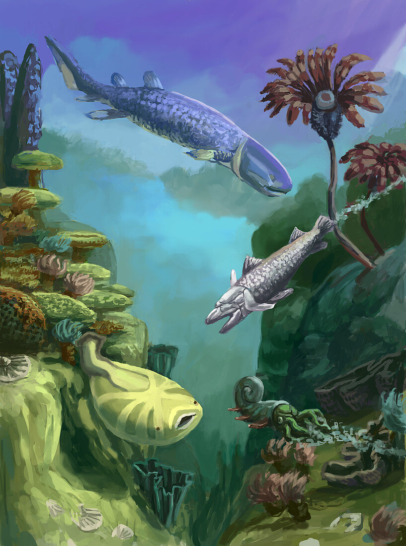 Devonian Period,illustration