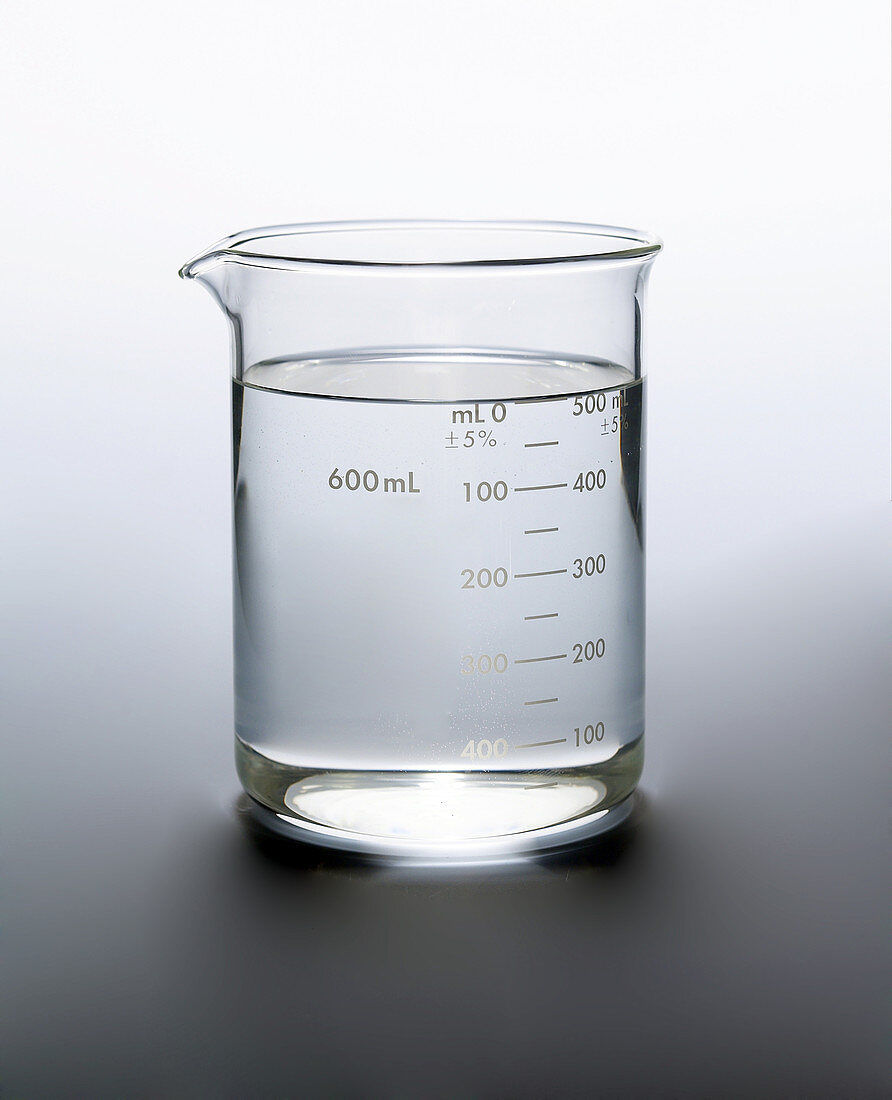 Water in a 600 Millilitre Beaker