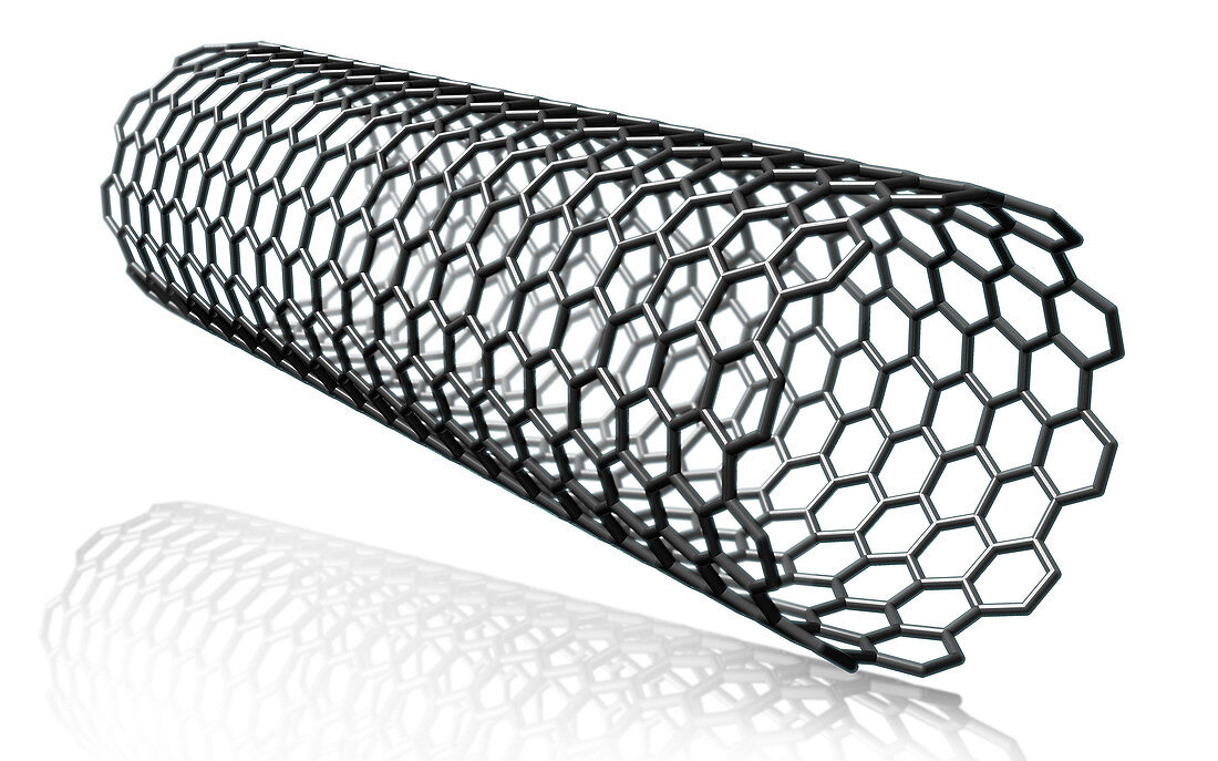 Carbon Nanotube Molecular Model