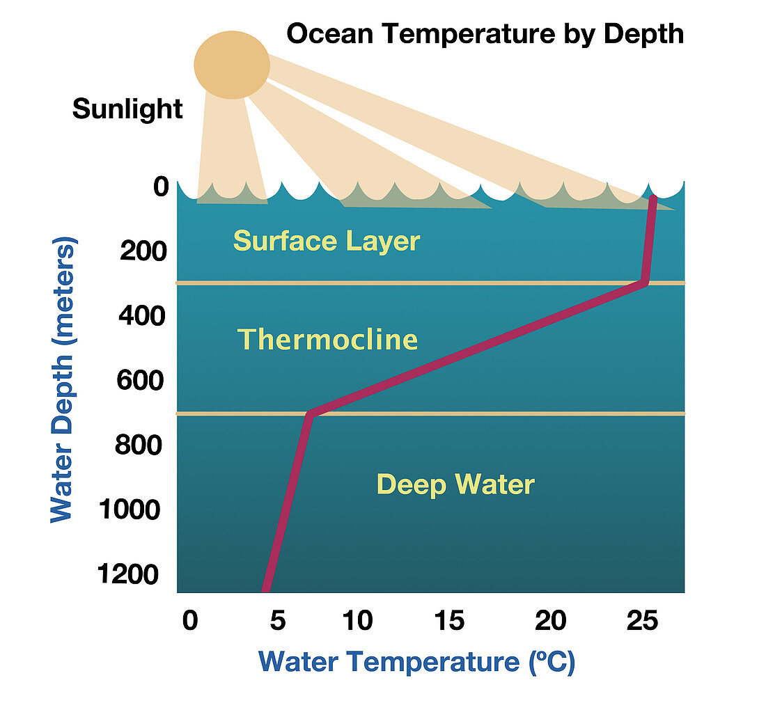 Ocean Temperature by Depth,illustration