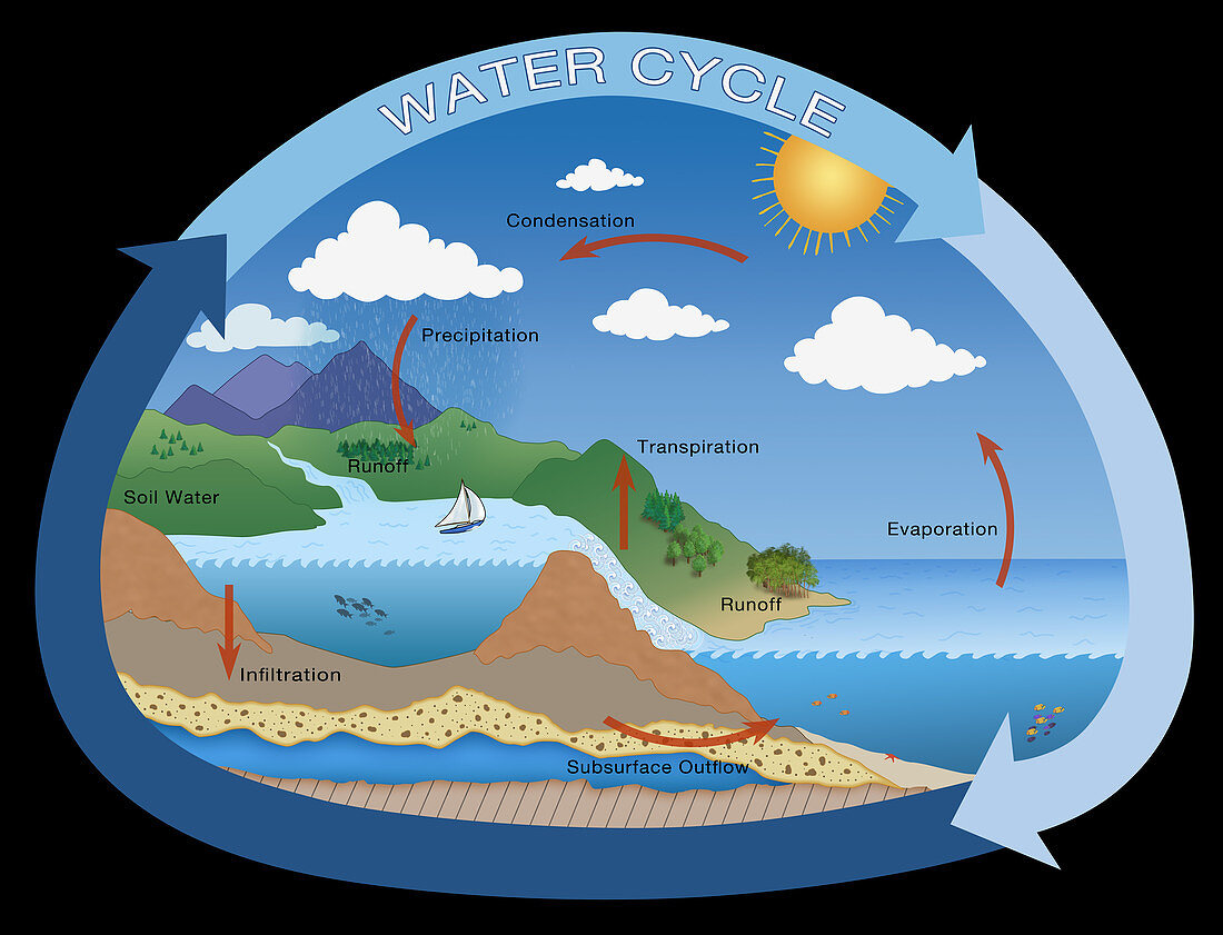 Earth's Water Cycle,illustration