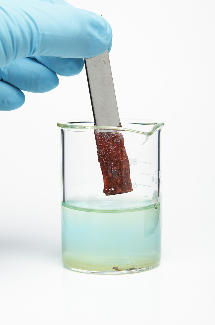 Nickel Reacting With Copper Sulfate